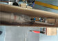 Tipo corto bomba de pistón neumática neumática de la bomba de aceite del barril del tubo de 600m m RongXing